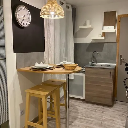 La Salamandre De L Olivier - Le Palmier Aubignosc