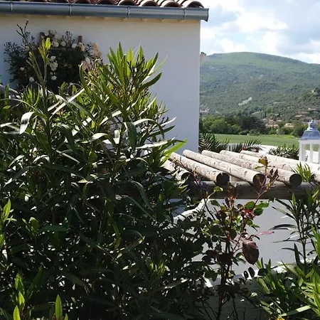 La Salamandre De L Olivier - Le Palmier Lägenhet Aubignosc