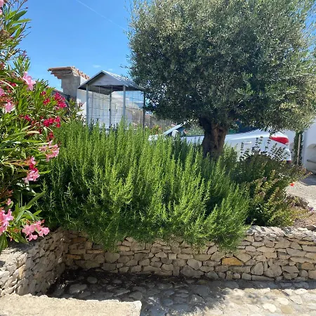 Lägenhet La Salamandre De L Olivier - Le Palmier