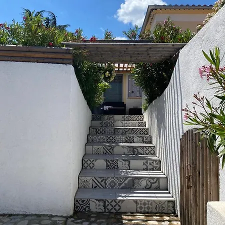 La Salamandre De L Olivier - Le Palmier Lägenhet *