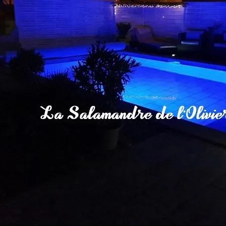 La Salamandre De L Olivier - Le Palmier *