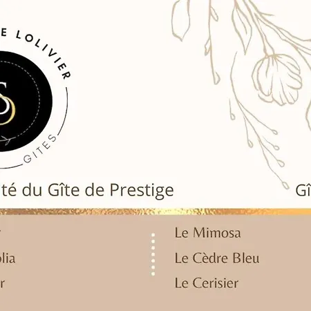 La Salamandre De L Olivier - Le Palmier