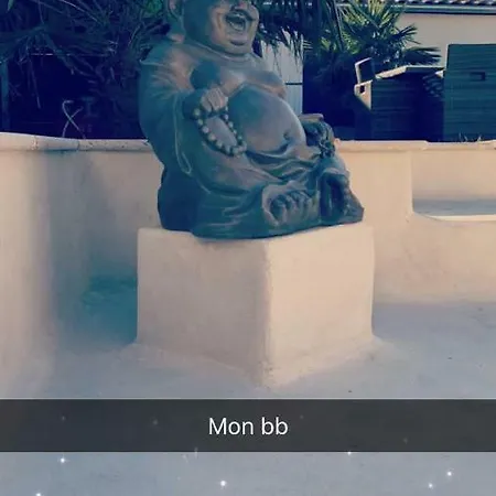 La Salamandre De L Olivier - Le Palmier * Aubignosc