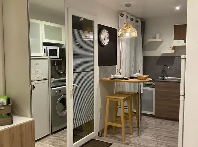 La Salamandre De L Olivier - Le Palmier