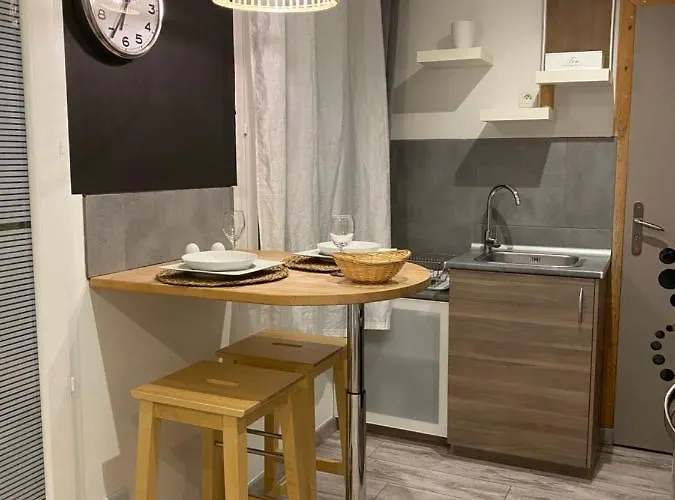 La Salamandre De L Olivier - Le Palmier Aubignosc