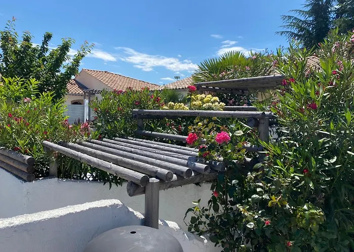 La Salamandre De L Olivier - Le Palmier *