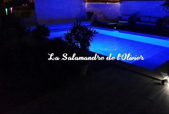 La Salamandre De L Olivier - Le Palmier *