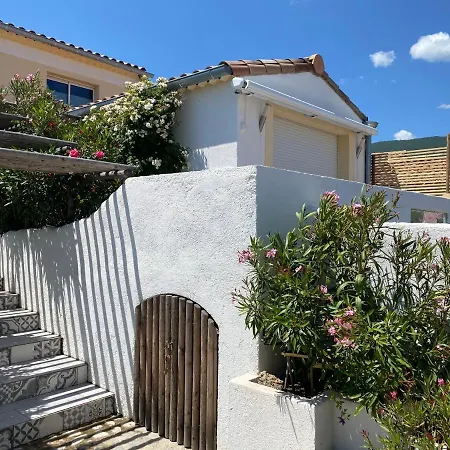 La Salamandre De L Olivier - Le Palmier