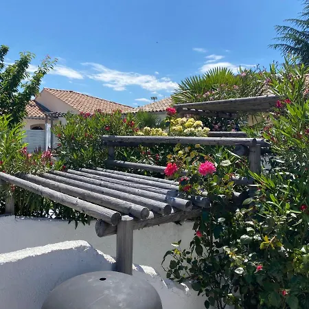 La Salamandre De L Olivier - Le Palmier *