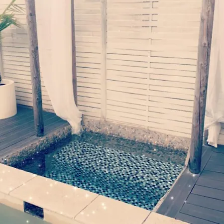 La Salamandre De L Olivier - Le Palmier Lejlighed