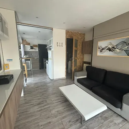 La Salamandre De L Olivier - Le Palmier *