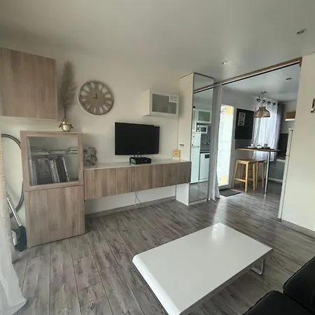 La Salamandre De L Olivier - Le Palmier