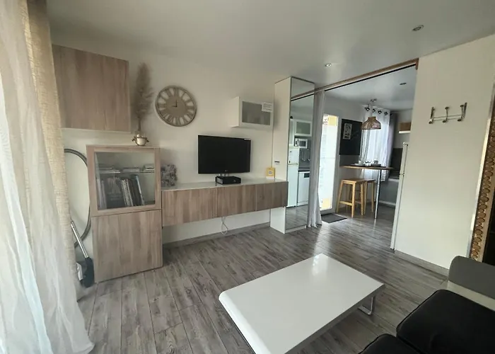 La Salamandre De L Olivier - Le Palmier