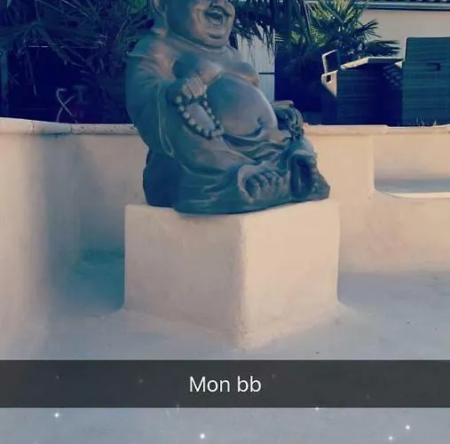 La Salamandre De L Olivier - Le Palmier * Aubignosc